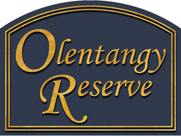 Olentangy Reserve in Olentangy School District logo